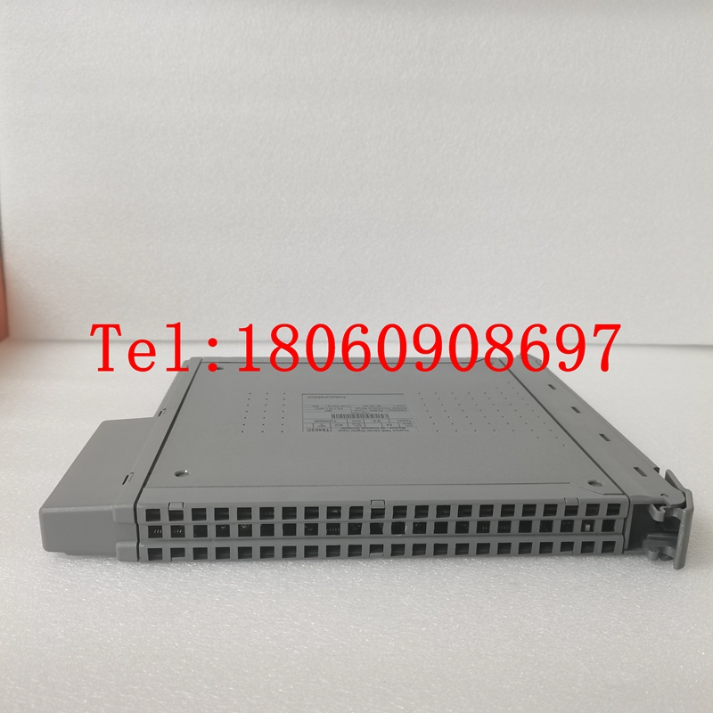 ICS TRIPLEX模块T8403C现货库存，品质优