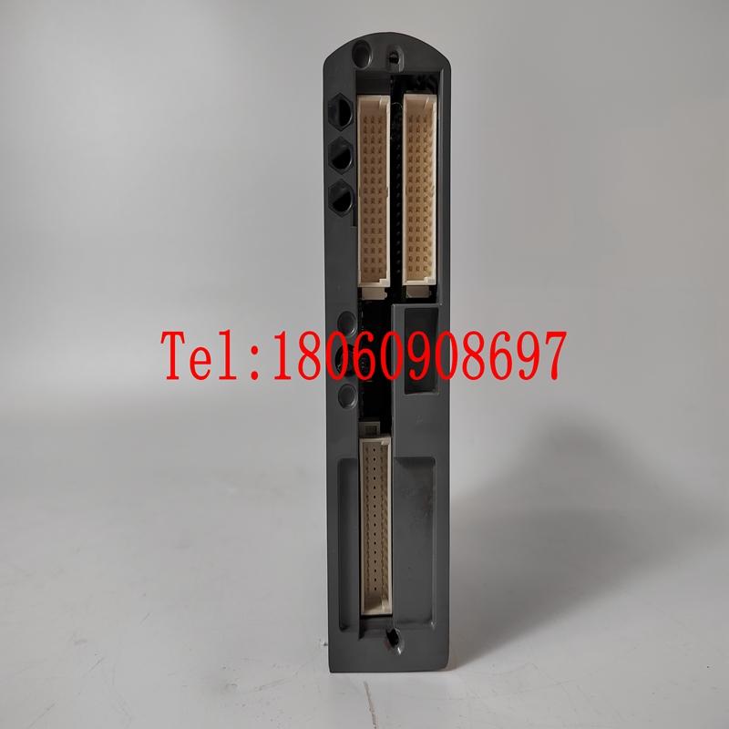 ICS TRIPLEX模块T9310-02现货库存，品质优
