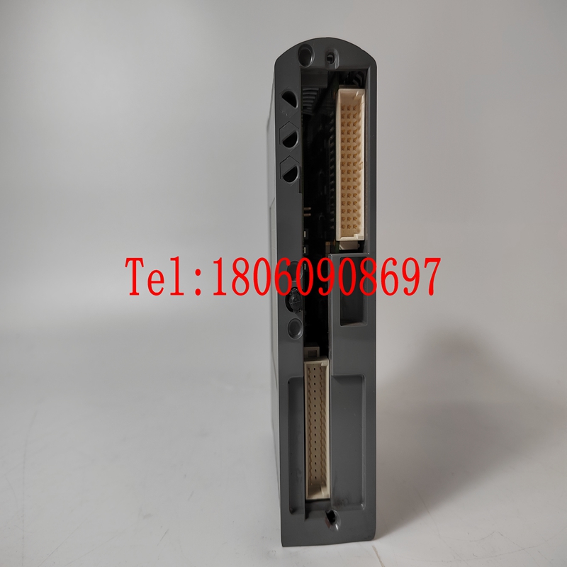 ICS TRIPLEX模块TC-201-01-4M5现货库存，品质优