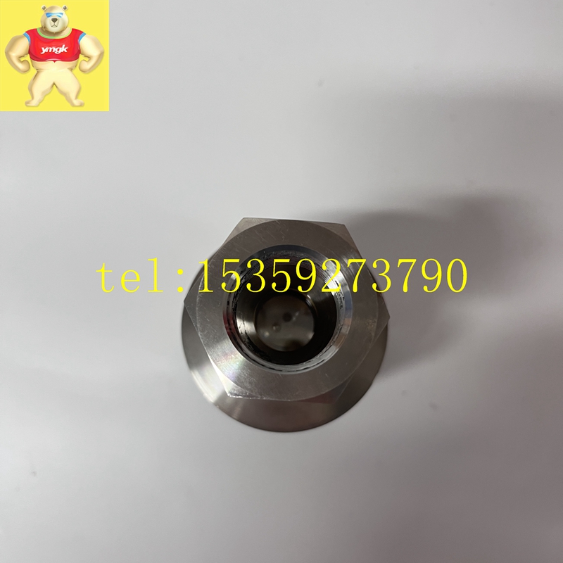 GE RS-FS-9001 362A1052P404型号众多