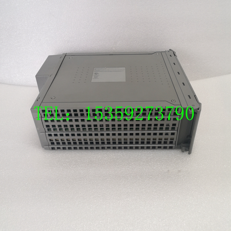 ICS TRIPLEX T8110B库存热卖 /正品保障
