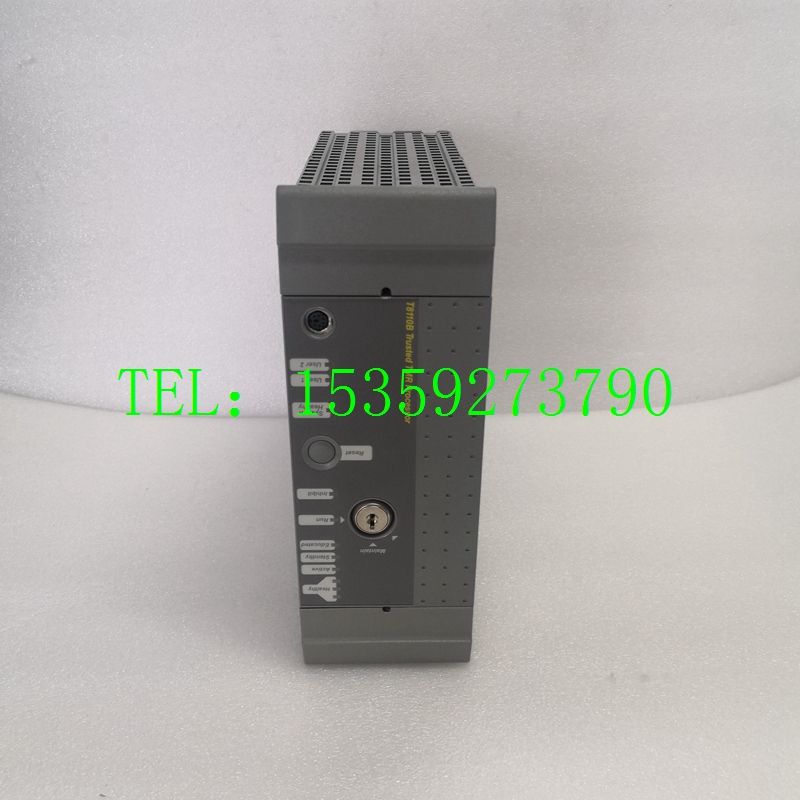 ICS TRIPLEX T8110B库存热卖 /正品保障