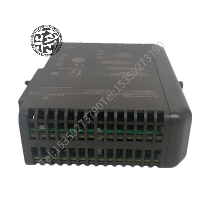 EMERSON UBI3KVA-220F具有单相输入电压以及工厂分配的定制代码